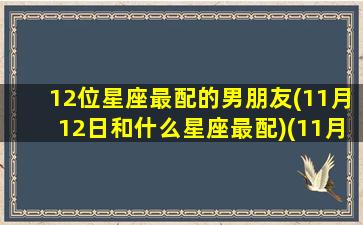 12位星座最配的男朋友(11月12日和什么星座最配)(11月 12月星座)